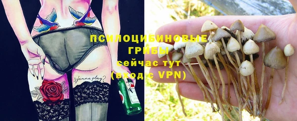 a pvp Верея