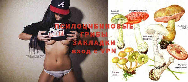 ешки Верхний Тагил